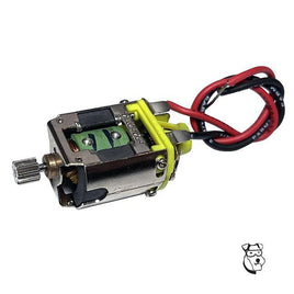 Parma 499 Rotor Super 16D Motor